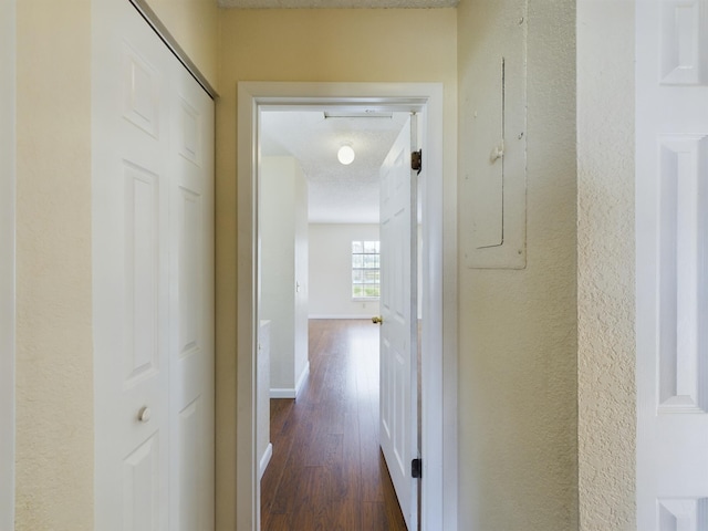 hall featuring a textured ceiling, electric panel, and dark hardwood / wood-style flooring