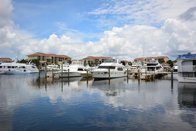 dock area with a water view