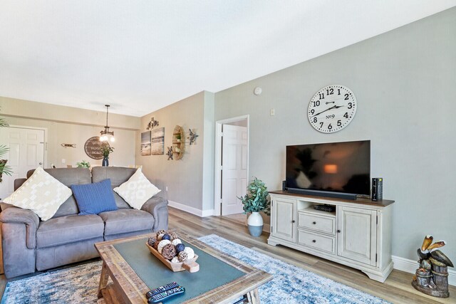 living room featuring light hardwood / wood-style floors