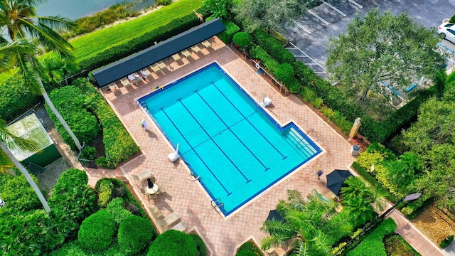 view of pool with a patio area