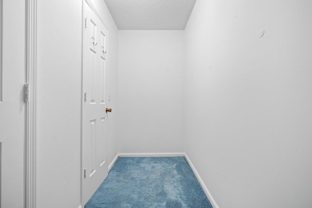 interior space with carpet