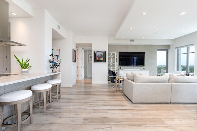 living room featuring light hardwood / wood-style flooring