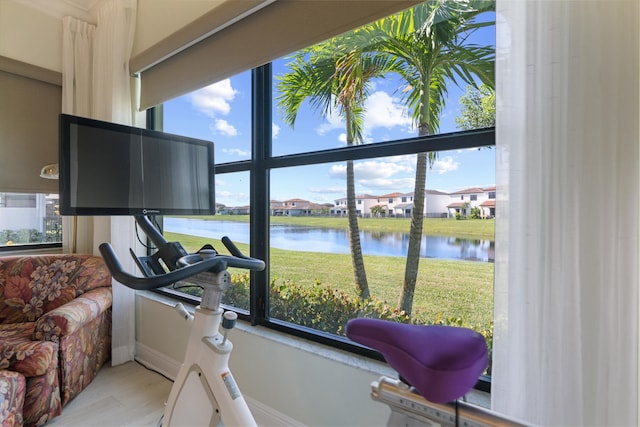 exercise room featuring light hardwood / wood-style floors and a healthy amount of sunlight