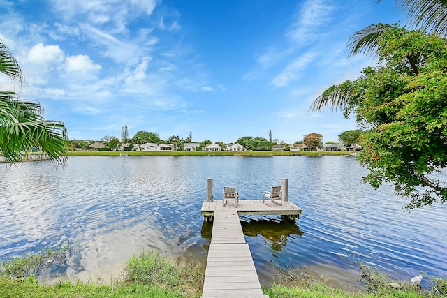 dock area with a water view