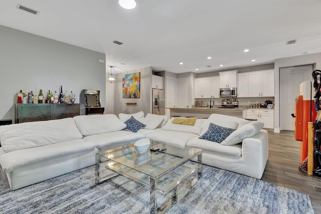 living room featuring sink and wood-type flooring