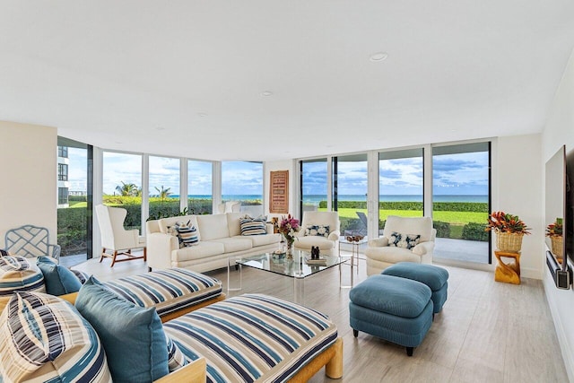 living room featuring a wall of windows, light hardwood / wood-style floors, and a healthy amount of sunlight