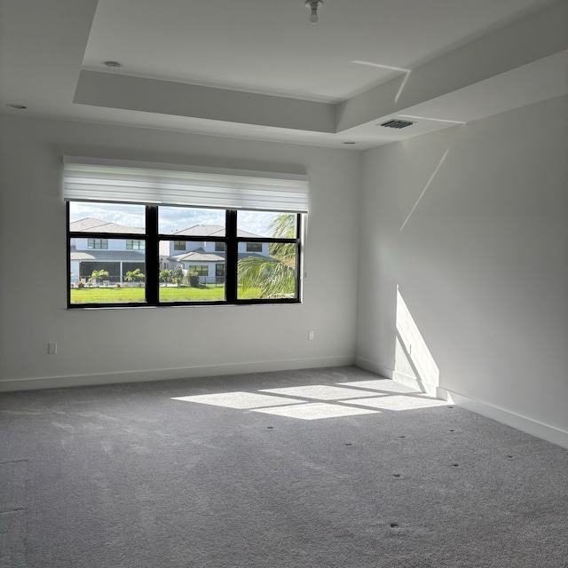 spare room with a wealth of natural light, carpet floors, and a raised ceiling