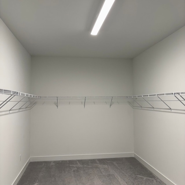 walk in closet with dark colored carpet