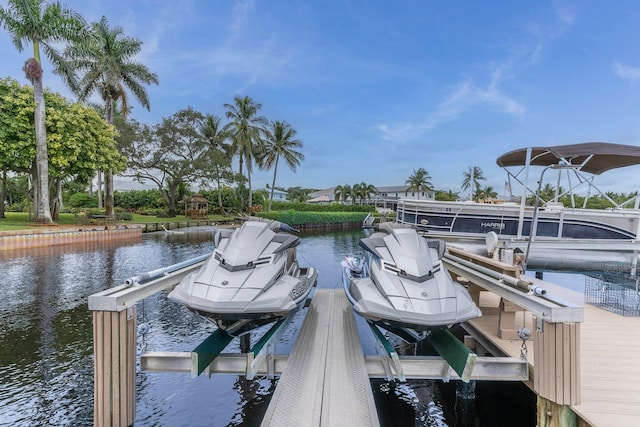 dock area with a water view