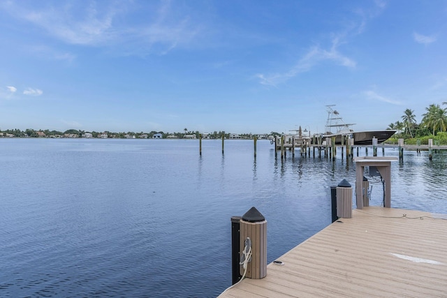 dock area with a water view