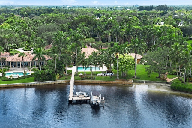 dock area featuring a water view