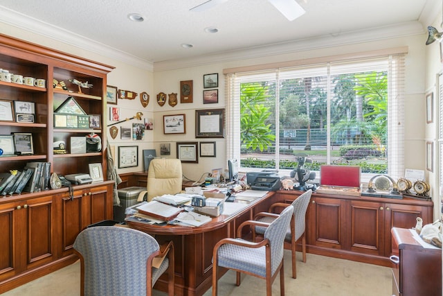 office space featuring light carpet, a textured ceiling, and ornamental molding