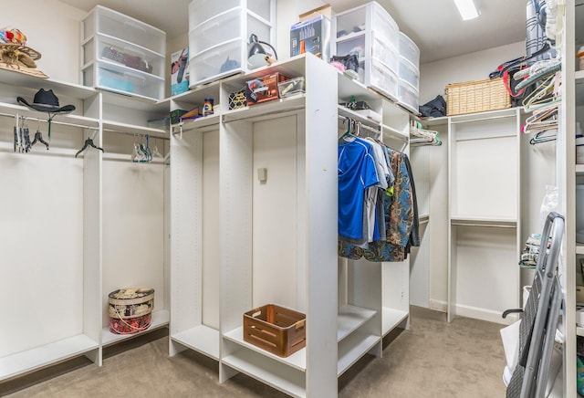 walk in closet with carpet flooring