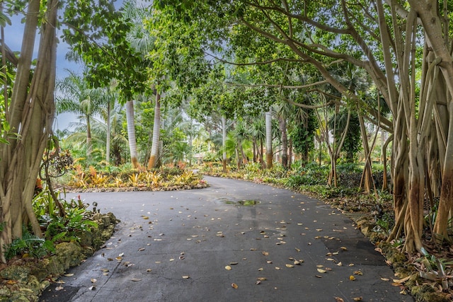 view of road