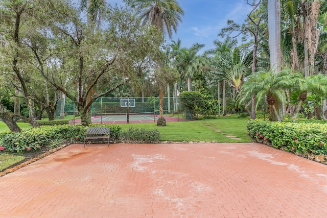 view of sport court featuring a lawn and basketball court