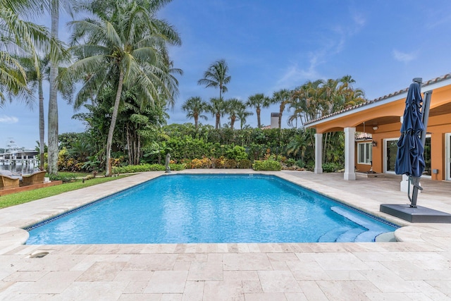 view of swimming pool with a patio