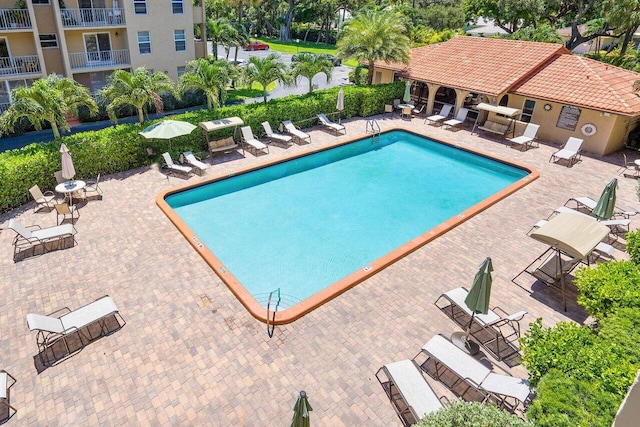 view of swimming pool with a patio area