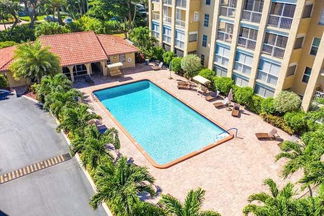 view of pool featuring a patio area