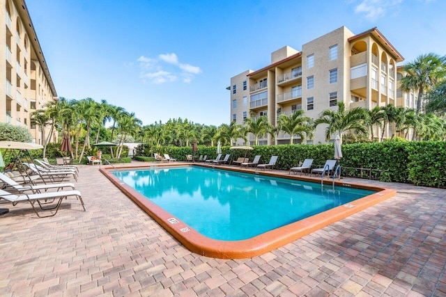 view of swimming pool with a patio