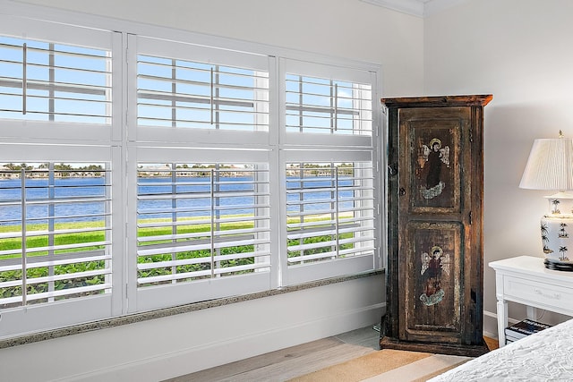 bedroom with wood-type flooring and a water view