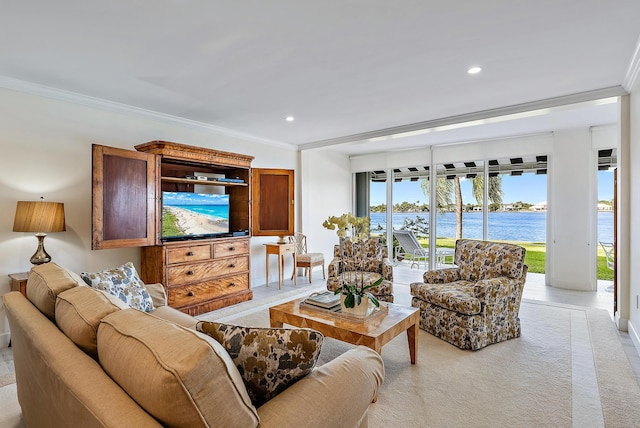 living room with crown molding and a wealth of natural light