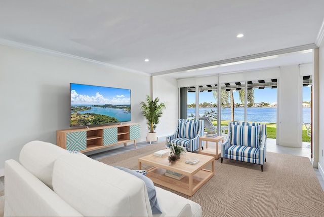 living room featuring crown molding