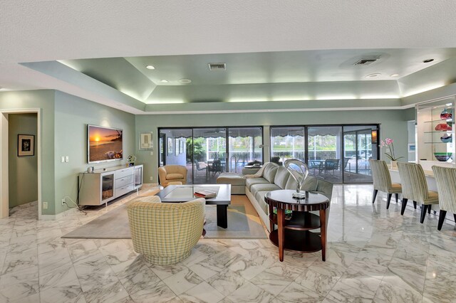 living room with a raised ceiling