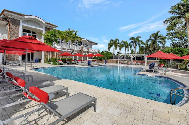 view of pool featuring a patio