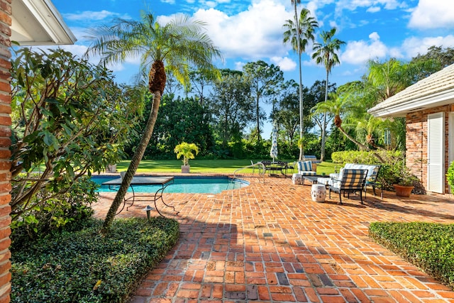 view of pool featuring a patio and a yard