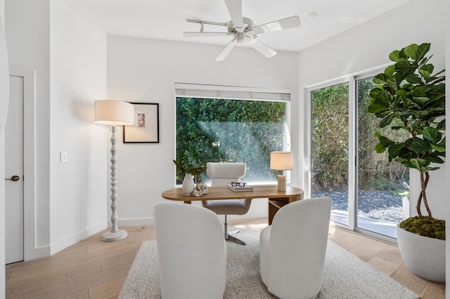 home office with a wealth of natural light, light hardwood / wood-style flooring, and ceiling fan