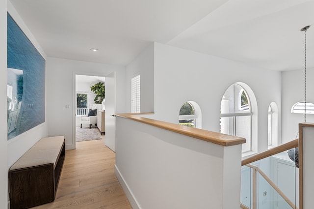 hall featuring light hardwood / wood-style flooring and a wealth of natural light