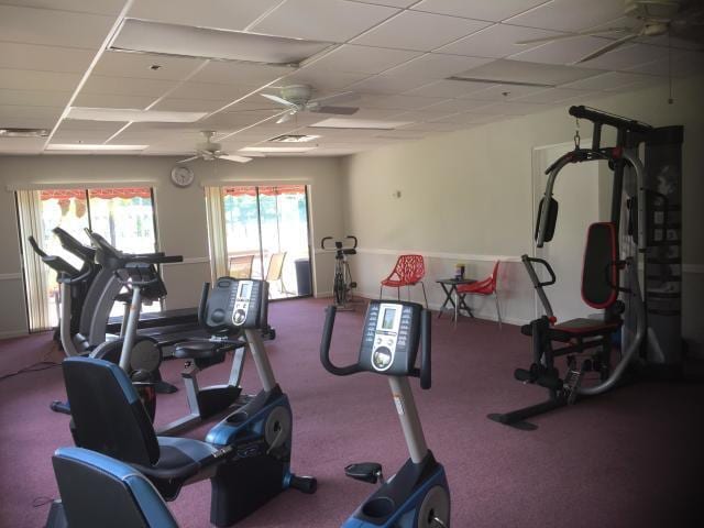 exercise room with ceiling fan and a drop ceiling