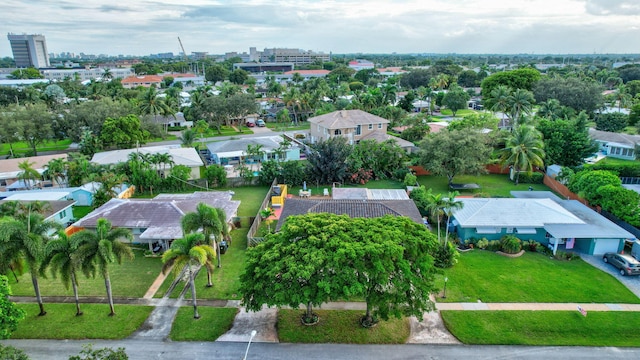 bird's eye view