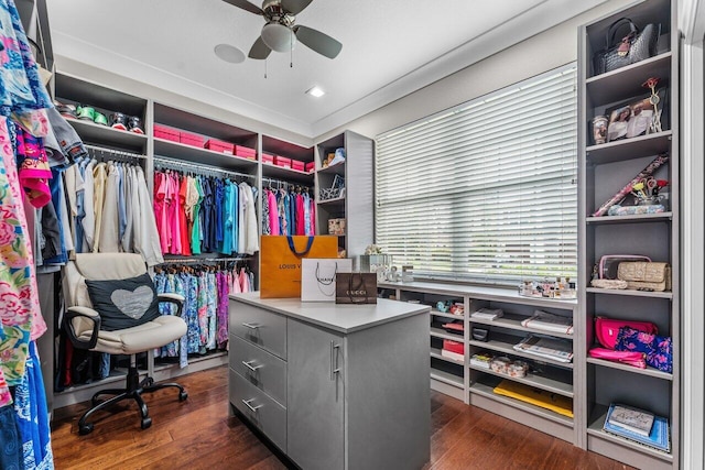 spacious closet with ceiling fan and dark wood-style flooring