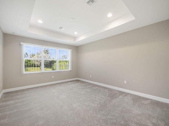 spare room with carpet and a tray ceiling