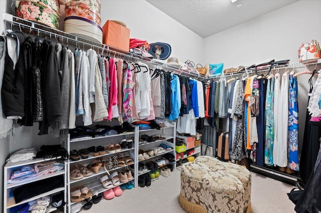 walk in closet featuring carpet flooring