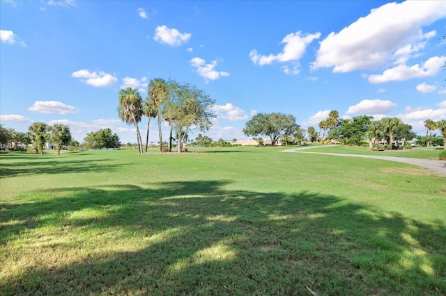 view of home's community featuring a yard