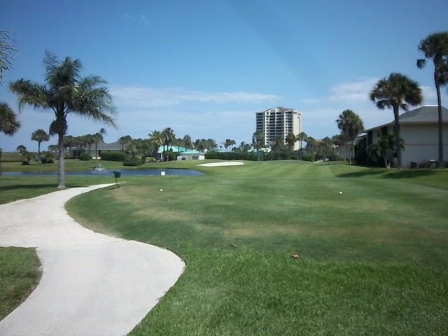 view of community with a lawn