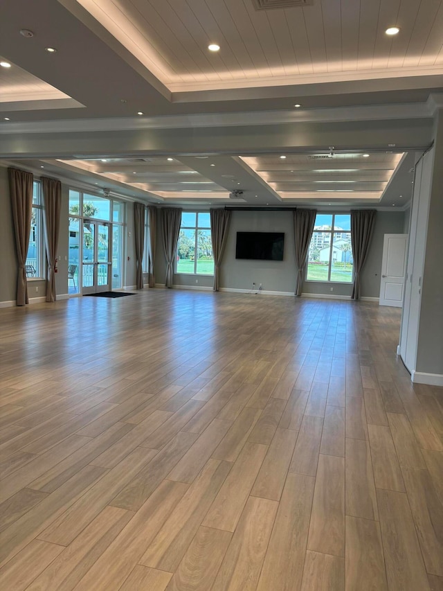 spare room with wood-type flooring, plenty of natural light, and a raised ceiling