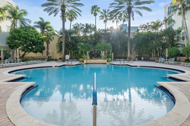 view of pool with a patio area