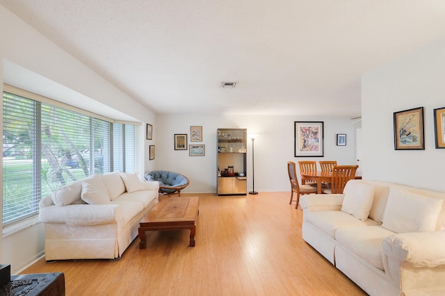 living room featuring light hardwood / wood-style floors