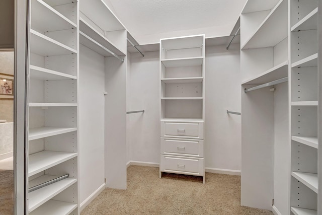 walk in closet with light carpet