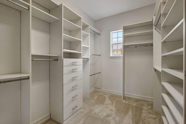 walk in closet with light colored carpet