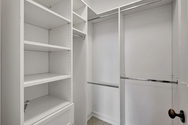 view of walk in closet