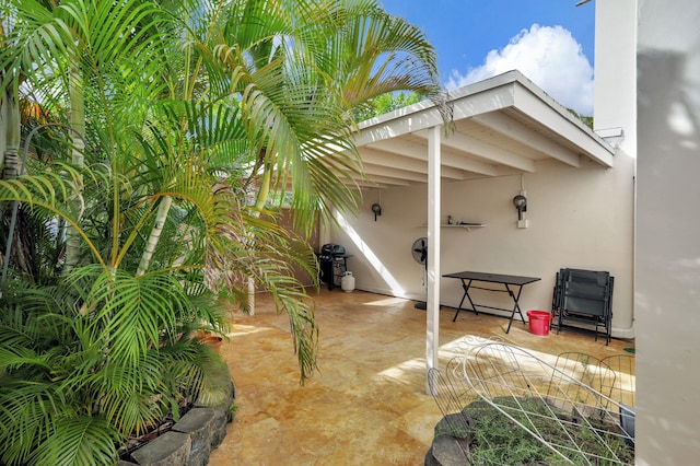 view of patio / terrace featuring grilling area