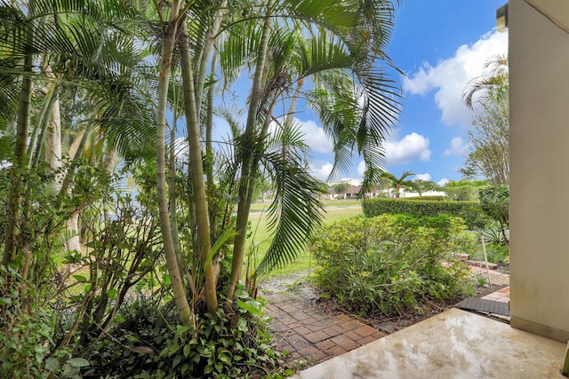 view of yard with a patio area