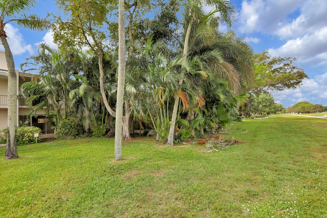 view of yard featuring a balcony