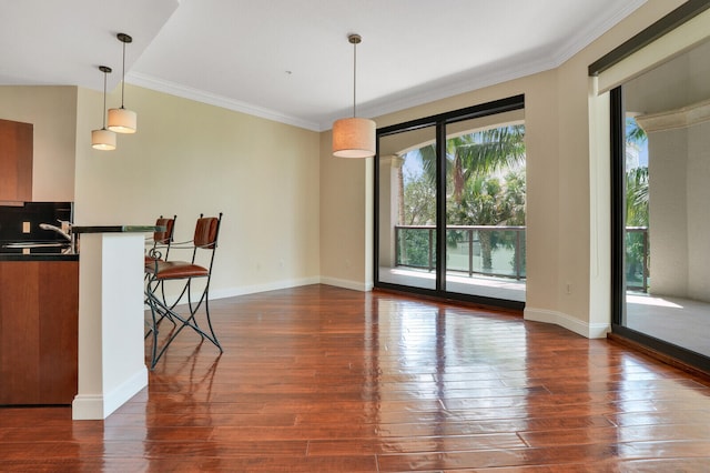 interior space with sink, dark hardwood / wood-style floors, and ornamental molding