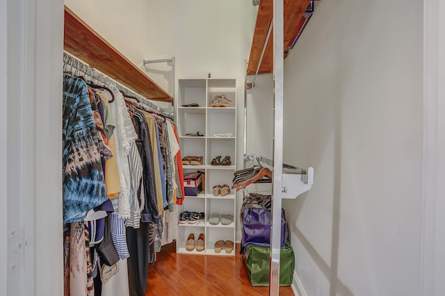 spacious closet with hardwood / wood-style floors