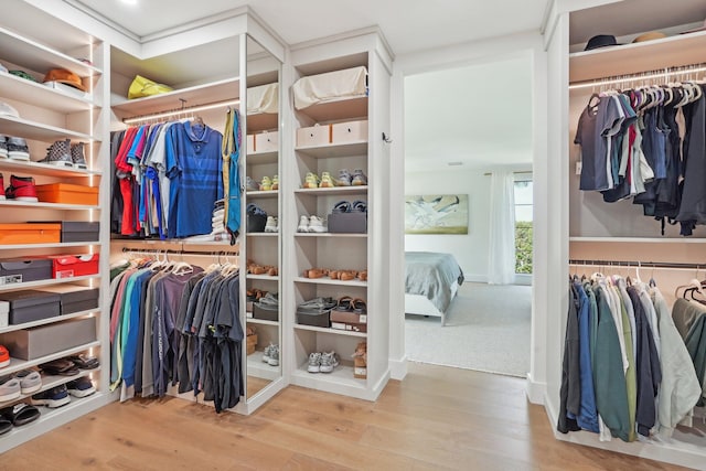 walk in closet with hardwood / wood-style flooring